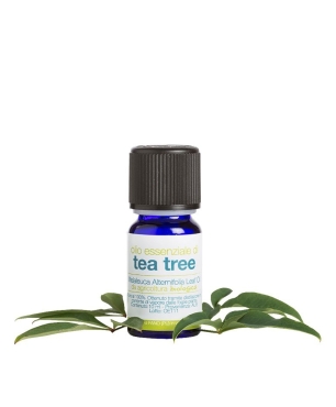 Olio essenziale tea tree