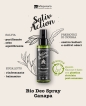 Organic deodorant BIODEO Spray Hemp