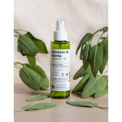 Organic Sage Hydrolate