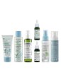 Face - Dilatated pores routine