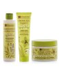 Fresh Body Kit – Shower Gel + Body Scrub + Cream Legs