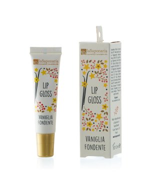 Transparent Lip Gloss –...