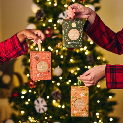 Joy of the Holidays Lantern