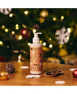 Orange & Cinnamon Hand Soap
