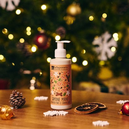 Orange & Cinnamon Hand Soap