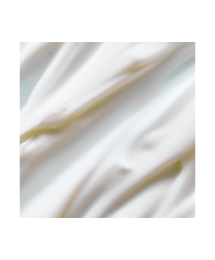 Moisturizing Body Cream – Organic Argan Oil & Vitamin C