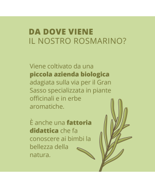 Organic Rosemary Hydrolate
