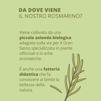 Organic Rosemary Hydrolate