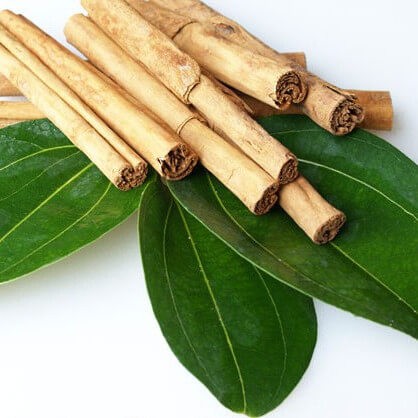 Cinnamon Essential Oil