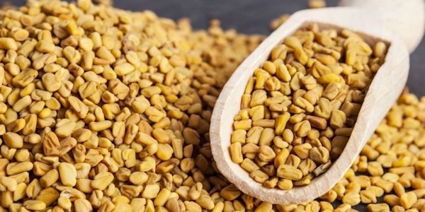 Fenugreek