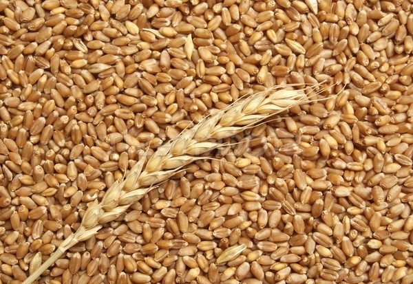 Organic Wheat Bran Enzymatic Extracts