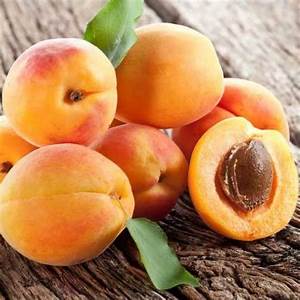 Apricot Oil