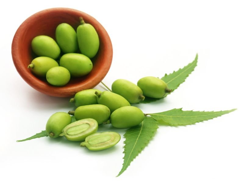 Neem Oil